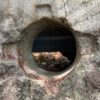 34 Inch Granite Runner Millstone - Image 3