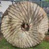 54 Inch Georgia Granite Millstone