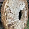 48 Inch Columbus Georgia (City Mills) Set Millstone - Image 3