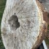 48 Inch Columbus Georgia (City Mills) Set Millstone - Image 3